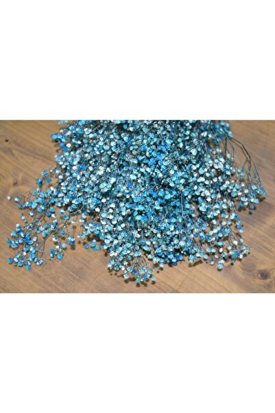 Papatyam Çiçek Şoklanmış Cipso Mavi Cipso