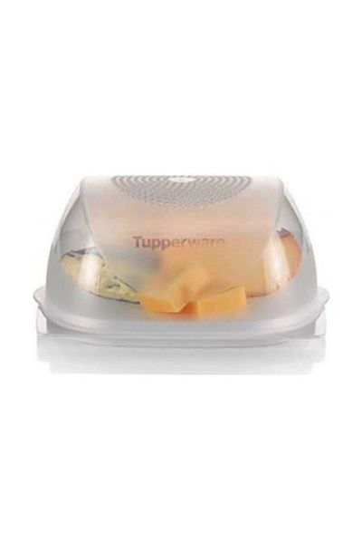 Tupperware Cheese World Storage Box