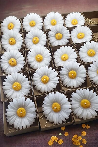 arıca pazarlama Papatya Çiçek Mum Sabun & Kokulutaş Silikon Kalıbı