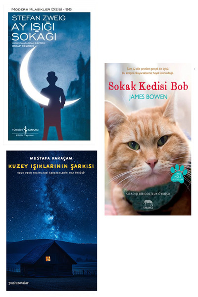 TÜRKİYE İŞ BANKASI KÜLTÜR YAYINLARI Ay Işığı Sokağı + Kuzey Işıklarının Şarkısı + Sokak Kedisi Bob - James Bowen (Koleksiyon Kitap)