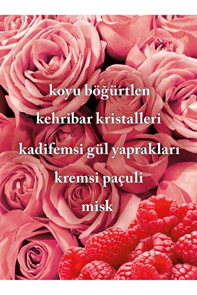Bath & Body Works Into The Nıght Vücut Spreyi