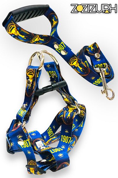 Angelapets Walking Strap Set - Dog and Chest Leash
