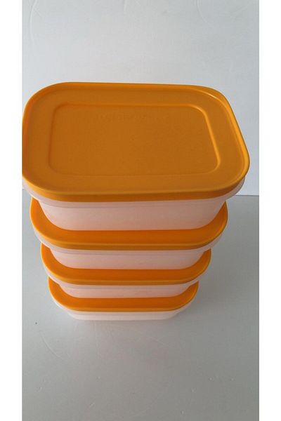 Tupperware Alaska 450ml Deep Freezer Storage Container - 4 Pieces