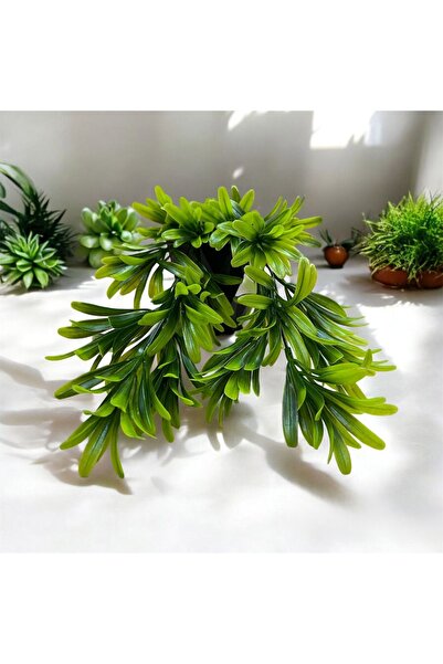 Lilac Home Yapay Çiçek Kahve Köşelik Mini Şeflore Sarkan