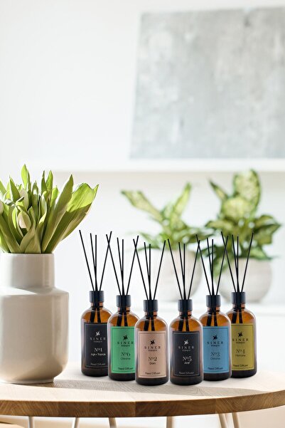 Siner Torque Reed Diffuser 6’lı Minimal Seri Bambu Çubuklu Oda Kokusu (Bambu Koku Set I)