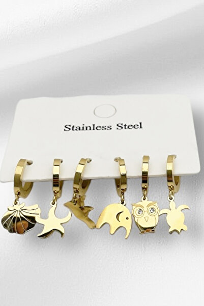 Fubena 316L Çelik Çoklu Küpe Takımı