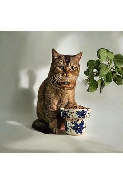 Soli Seramik High Ceramic Cat and Dog Handmade - Food and Water Bowl (ceramic Handmade)