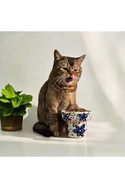 Soli Seramik High Ceramic Cat and Dog Handmade - Food and Water Bowl (ceramic Handmade)