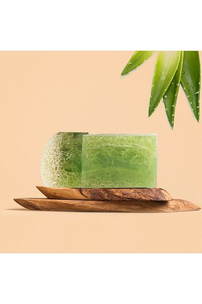 SABUNCUM Pumpkin Fiber Aloe Vera Soap Youth Elixir