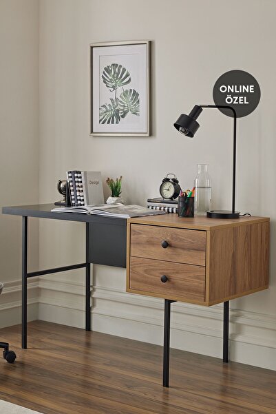 Enza Home Kalinsta Çalışma Masası - Ceviz