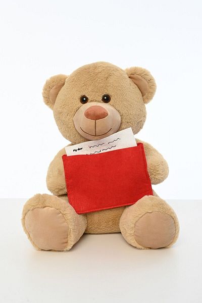 Pufu Toys Lover's Special Gift Letter Teddy Bear 45 cm
