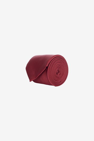 ALTINYILDIZ CLASSICS Cravată pentru bărbați fără model burgundy