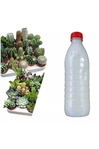 Berke Fidancılık Kaktüs ve Sukulentler İçin Özel İlaç Karışımı 500 ML