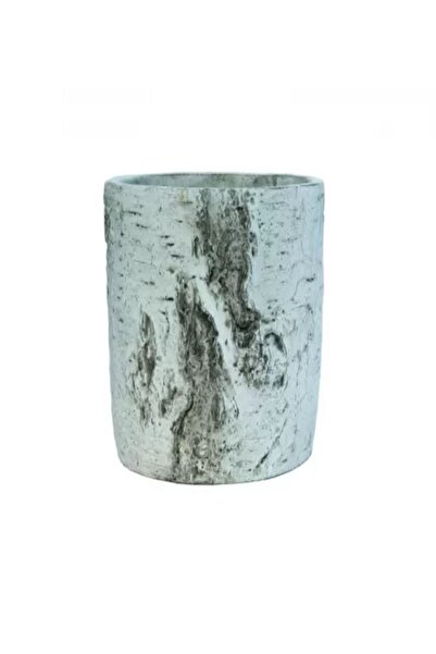 Greenmall Huş Saksı Küçük Boy