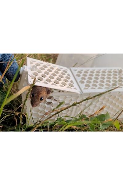 Bi'şeyler Sepeti Canlı Fare Kapanı