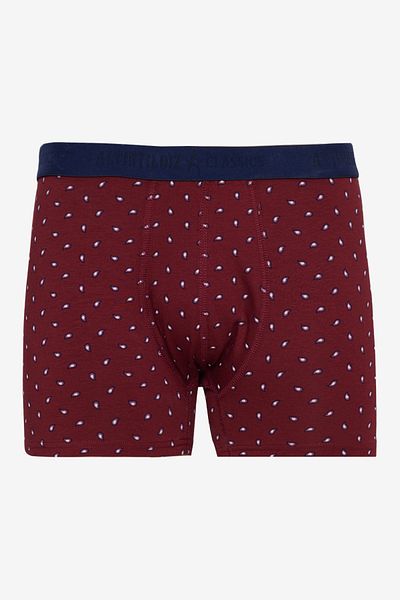 ALTINYILDIZ CLASSICS Ανδρικό σετ μπόξερ 2 τεμαχίων Navy Blue-Claret Red