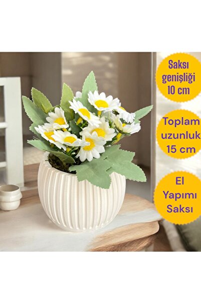 Trend KenT Beton Saksıda Papatya , Doğal Yosunlu Yapay Çiçek, Aranjman Hediye...