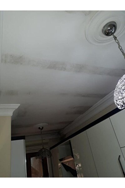 Isonem Beyaz Ms82 Nem ve Rutubet Boyası 1 kg