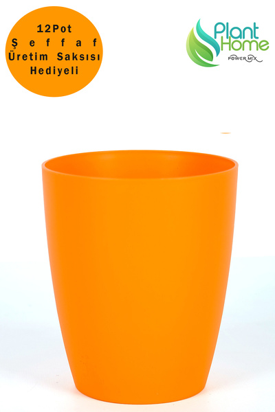 Plant Home Power Mix Orkide Saksısı Turuncu Dekoratif Dış Saksı 1 Adet- 12 Po...