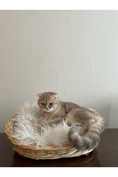 Beyaz Atölyem Kedi Köpek Sepeti