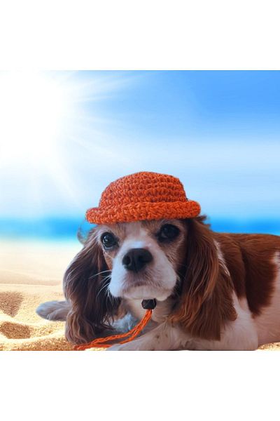 designbyasu Orange Straw Small Breed Dog Hat - 13cm