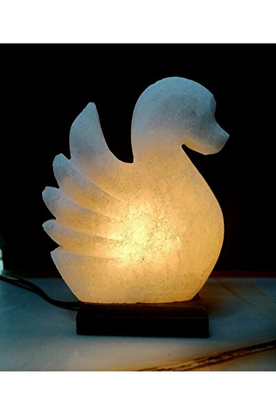 ARASTA TUZCUSU ÇANKIRI KAYA TUZU KUĞU MODEL TUZ LAMBASI