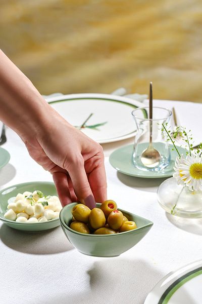 Karaca Forever Herby Bone 16 Piece 4 Person Breakfast Set