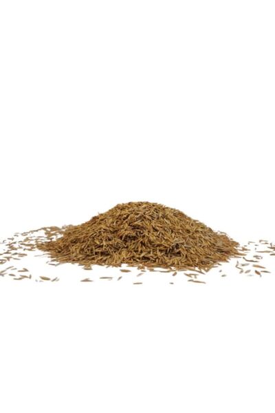 Grass Seed 7 Günde Çimlenen Üzerine Basılabilir 6'lı Karışım Çim Tohumu -1 Kg