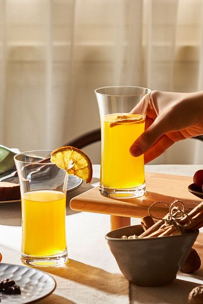 Karaca Lanius 6-Piece Soft Drink Cup