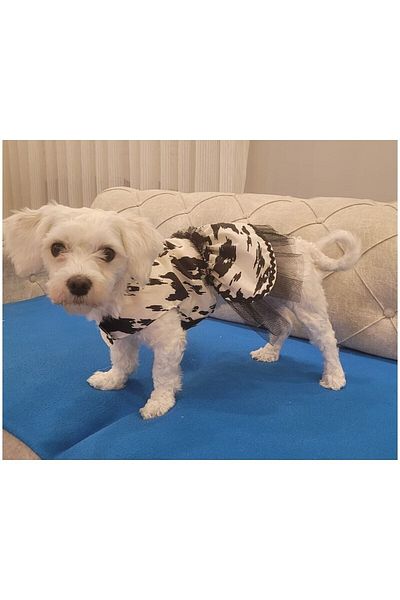 Gobo Black and White Leopard Patterned Tulle Cat Dog Outfit Dress