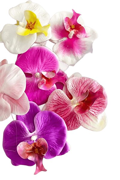 Vipfoni Orkide Çiçekli İnci Detaylı Aloha Yan Pens Toka 2 Adet