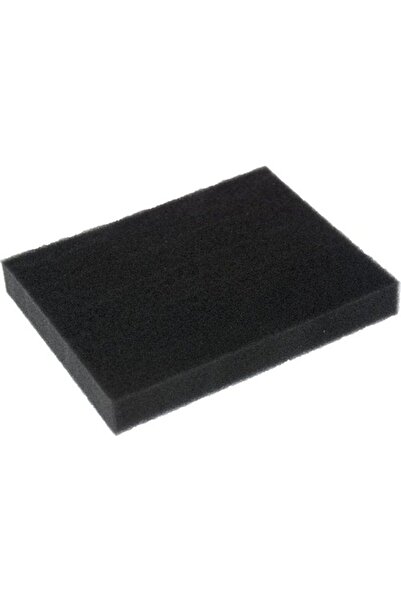 Beko BKS 2920 Perform Ergo Outlet Filter Spužva