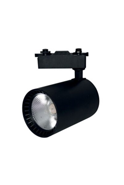 Led Gold Royal Siyah Kasa Ray Spot 30 Watt Beyaz Işık