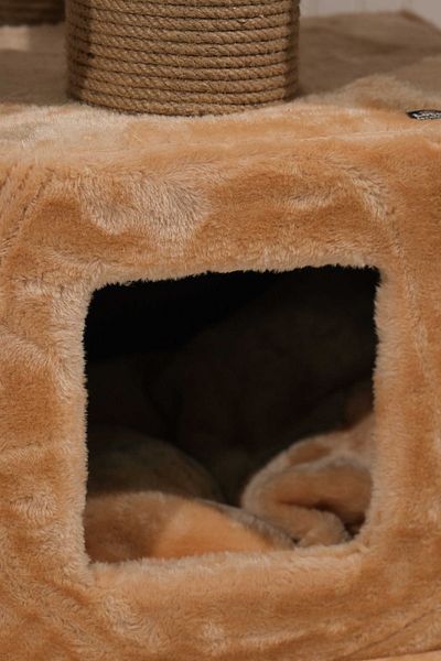 LOTUS FURNITURE PET SERIES LosAngeles- Scratch Cat Evili
