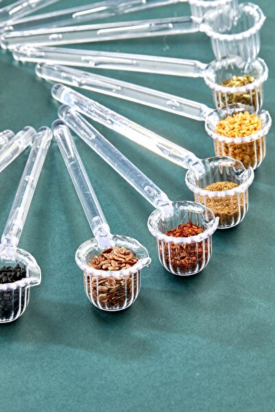 FBZhome 12 Adet Mika Origami Şekilli Şeker Ve Kahve Kaşığı | Baharat Şeker Kahve Kaşığı (CAM DEĞİLDİR)