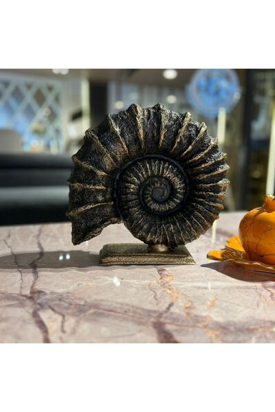 SZN DEKOR Siyah Gold Salyangoz Biblo ,ofis Ve Salon Dekoru, Ev Hediyesi Konso...