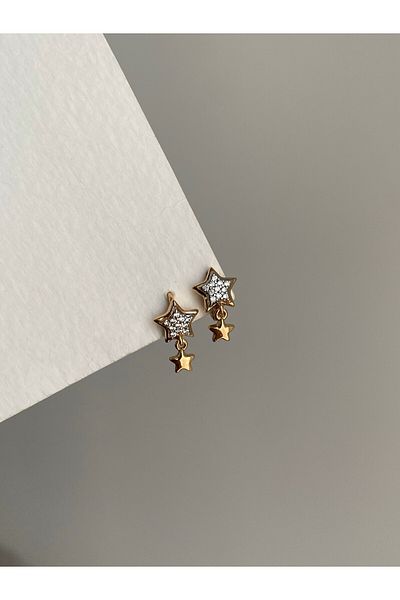 Owentis Rose Gold Steel Stoned Starring Earrings - No Darkening