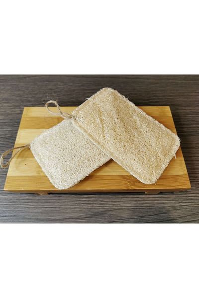 PitrakStore 3 Pcs Natural Pumpkin Fiber Dish Sponge 3 Pcs PS55