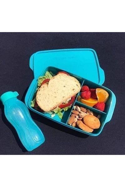 Tupperware Nutrition Bowl with Partitions