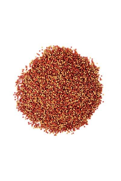 AMORE Goldy Mix Granules 1000ml Japon Balığı Yemi, Güçlü Bağışıklık, Sağlıklı Gelişim, Parlak Renkler