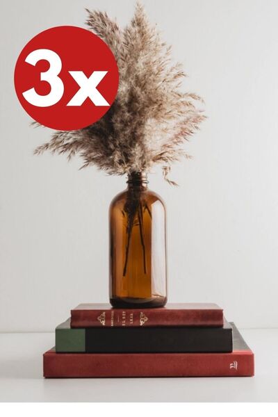 LALEZEN HOME 3 قطع 500 مل زجاجة مزهرية زجاجية كهرمانية