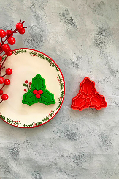 CESTOPİENO كوكيز عجين منقوشة بزهرة الكوكينة الحمراء - سيراميك، عجينة السكر، ل...