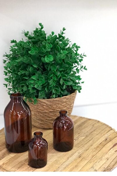 LALEZEN HOME Amber Kahverengi Cam Vazo 50ml 100ml 250ml Üçlü Set