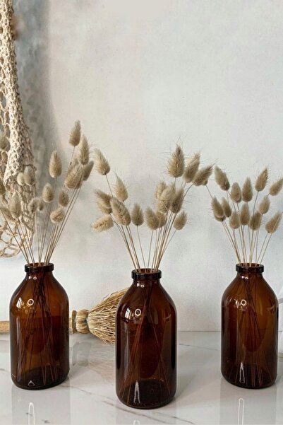 LALEZEN HOME 3 Adet 250 Ml Amber Kahverengi Mini Cam Vazo Şişe