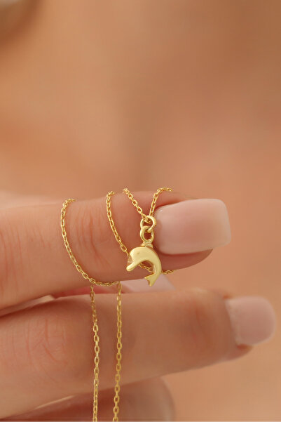 Nox Jewelry 925 Ayar Gümüş Minimal Yunus Balığı Kolye