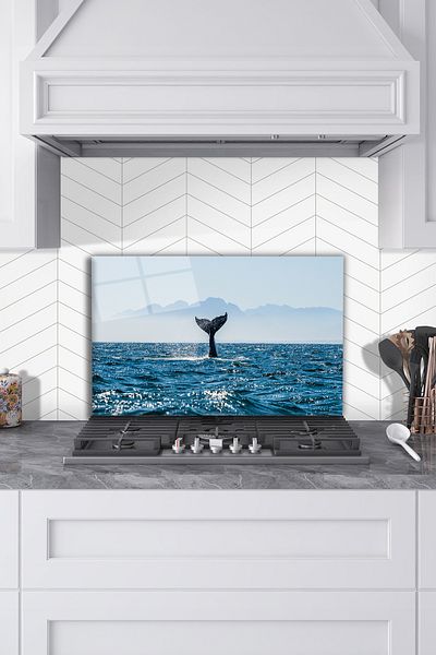 Rosyvien Blue Whale - Plită din sticlă, protecție pentru bucătărie încorporată și blat, temperată și rodaj