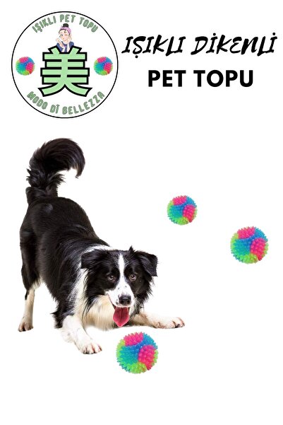 Modo Di Bellezza Işıklı Köpek Topu Karanlıkta Parlayan Kediler, Köpekler için İnteraktif Evcil Hayvan Oyuncağı