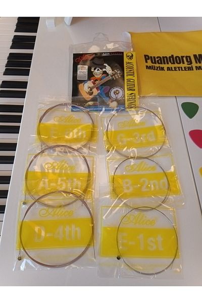 Alice A-506L Electric Guitar String Set: Girafe +Transformer + Picks + Guitar Strap