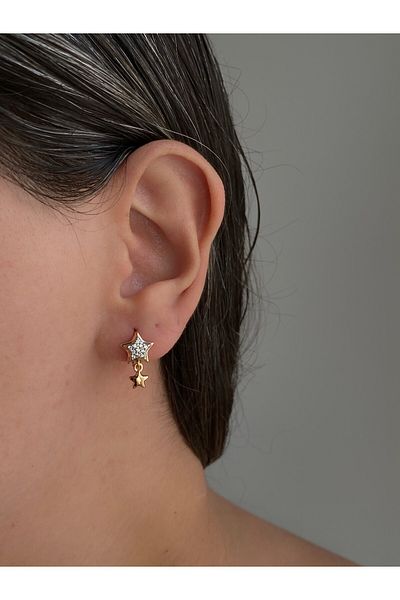 Owentis Rose Gold Steel Stoned Starring Earrings - No Darkening