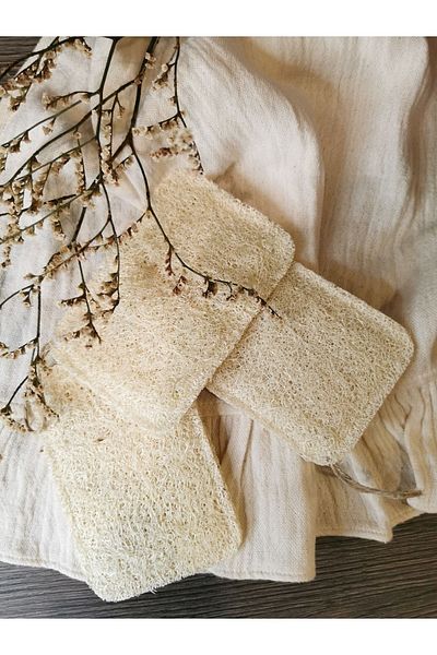 PitrakStore 3 Pcs Natural Pumpkin Fiber Dish Sponge 3 Pcs PS55